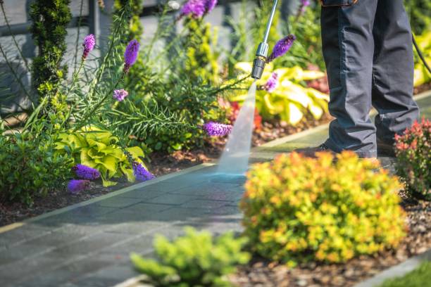 Best Sidewalk and Walkway Cleaning  in Blasdell, NY