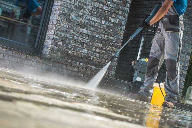 Best Fleet Vehicle Washing  in Blasdell, NY