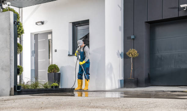 Best House Exterior Washing  in Blasdell, NY