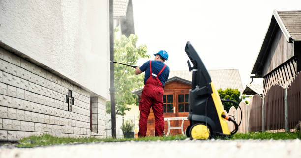 Best Graffiti Removal  in Blasdell, NY